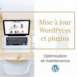 Mises à jour et maintenance de votre site Wordpress