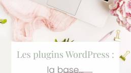 Conseils sur les extensions wordpress