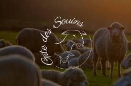 Logo Gite des Souins