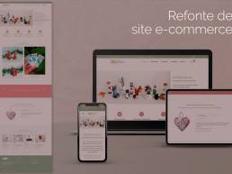 refont du site Fée plaisir
