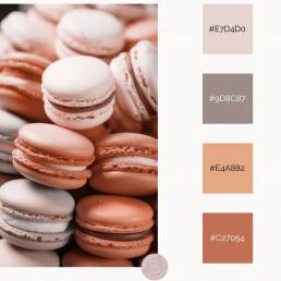Inspiration Pantone 2024 Peach Fuzz