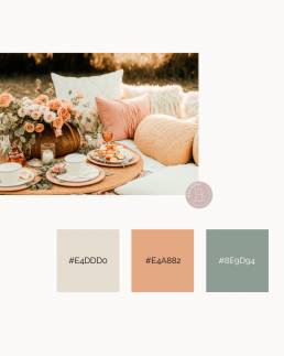 Planche de tendances Pantone 2024 Peach Fuzz