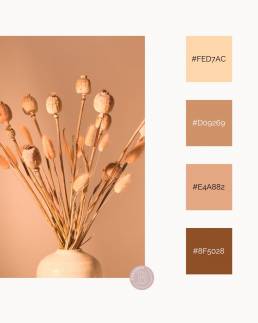 Palette couleur Pantone 2024 Peach Fuzz