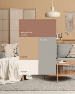 palette couleur pantone 2025