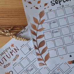 planning ma boutique noel