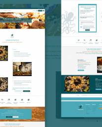 mockup pages site avant apres