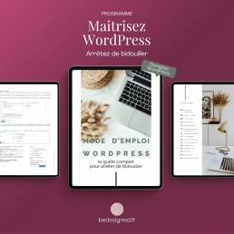mode d emploi wordpress