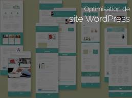optimisation site WordPress CoworRH